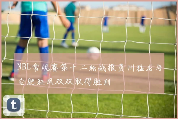 NBL常规赛第十二轮战报贵州猛龙与合肥狂风双双取得胜利
