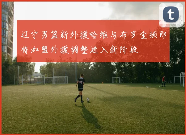 辽宁男篮新外援哈维与布罗金顿即将加盟外援调整进入新阶段