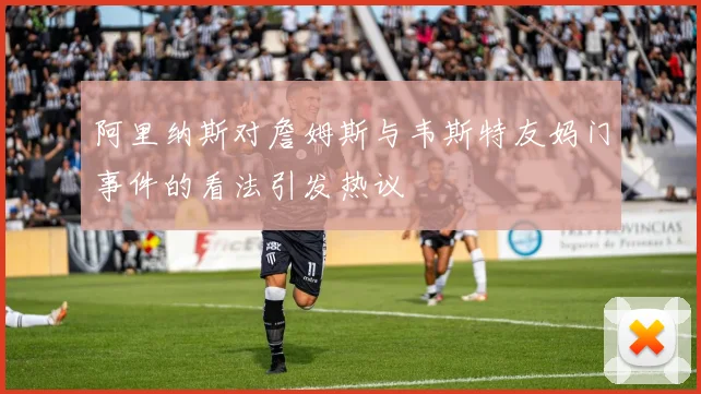 阿里纳斯对詹姆斯与韦斯特友妈门事件的看法引发热议