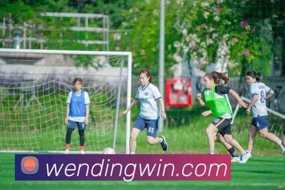 问鼎娱乐APP 体育赛事宣传图